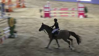 Alara Türkay-Siec Vitesse-14.12.2019 İask Yıl Sonu Kupası 110 Cm Yıldız Biniciler Üçüncüsü