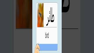 كورس كلمات إنجليزية 226