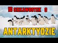 10 ciekawostek o Antarktydzie!