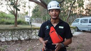 Basic Tension Line