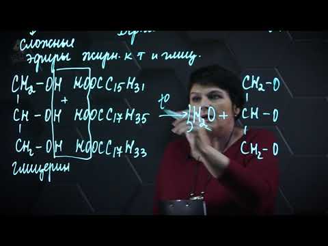 Жиры. 1 часть. 11 класс.