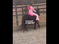 It’s so sad #horse #ponymalta #horseenthusiast #equestrianjourney #horsefan #horsegirl #riding