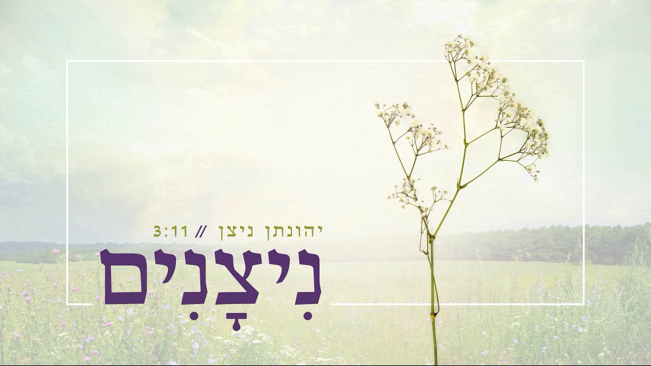 ״ניצנים ״