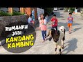 Rumah Pixel Jadi Kandang Kambing | Selamat Hari Raya Adha 1440 H Lebaran Haji