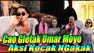 UMAR MOYO, CAO GLETAK .WARU DOYONG. ELING ELING || DOLALAK TERBARU
