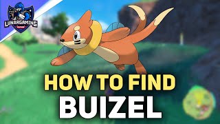 Where To Find Buizel Pokemon Scarlet And Violet