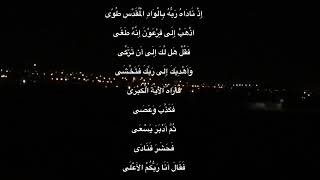 Хафиз Абдулмалик. красивое чтение Корана Сура Ан-Назиат