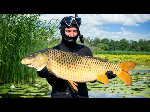 Подводная Охота в Астрахани. Сорок Рыбаков и Плохая Погода. Осуществил мечту Егеря