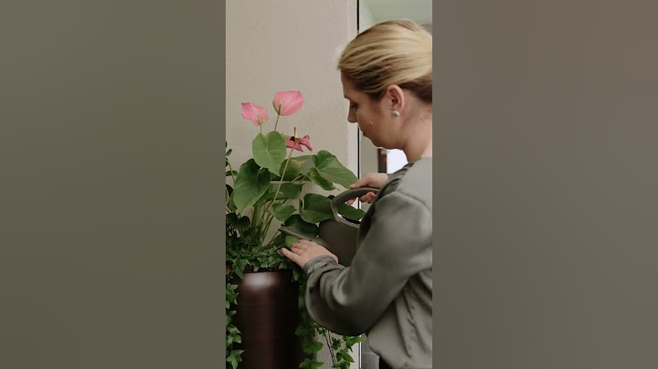 Blumenkübel und Bodenvase innen dekorieren