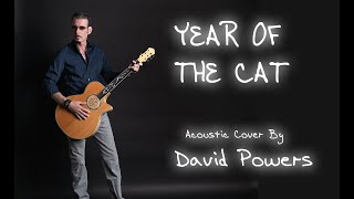 Video thumbnail of "Year Of The Cat - Al Stewart (acoustic cover by David Powers)"