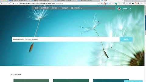 Embedding Salesforce Flow within Community Cloud Portals