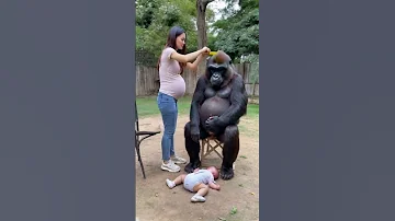 A Woman Who Gave Birth To Gorillas Animals Lovely Cute Gorilla 