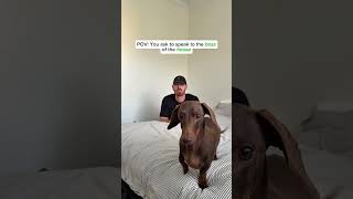 Dont Mess With The True Boss Of The House