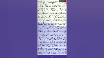 سورة النساء بصوت الشيخ أبو بكر الشاطري مع تتبع الآيات من مصحف تعليم التجويد