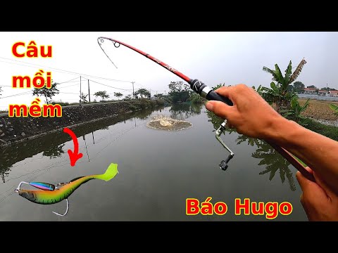 Lần đầu câu Lure bằng Mồi Mềm và cái kết
