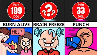 Comparison: Human Pain | Part 2