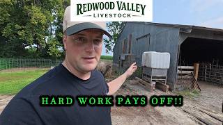 How to store sheep feed for cheap!