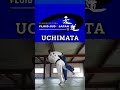 UCHIMATA #shorts#judo#柔道