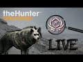 WOLF GRIND LIVE! WILL HE SPAWN TODAY? 522 KILLS IN! | The Hunter Call of the Wild