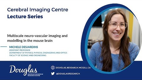 Multiscale neuro-vascular imaging and modelling in the mouse brain – Michèle Desjardins