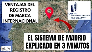Sistema De Madrid Para El Registro Internacional De Marcas El Registro De Tu Marca En Varios Países