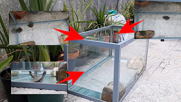 Como fazer um Aquaterrário para tartaruga caseiro?