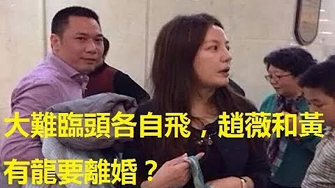大难临头各自飞，赵薇和黄有龙要离婚？ - 天天要闻