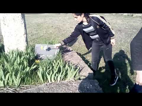 გულწრფელი ხსოვნა