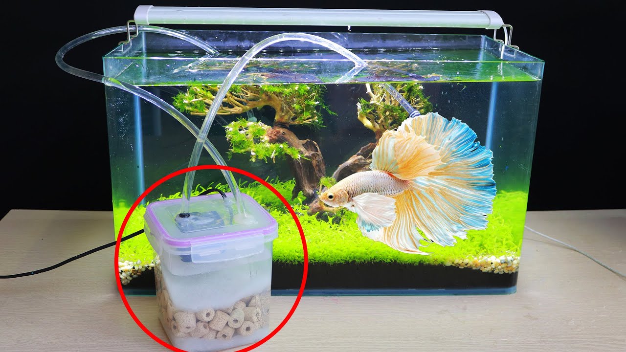 Diy Filter Aquarium Of Plastic Bottle How To Make Filter For Fish Tank At Home Ideas Mr Decor Youtube
