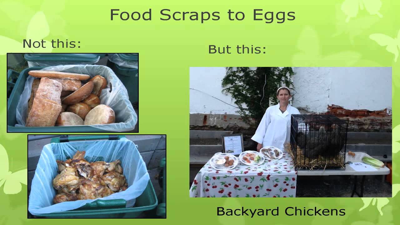 EPA Food Waste Presentation YouTube