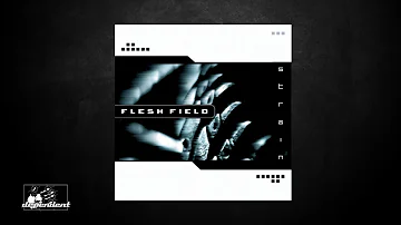 Flesh Field - Reflect The Enemy