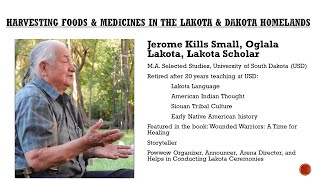 Harvesting Foods & Medicines in the Lakota & Dakota Homelands