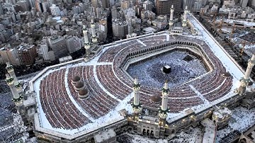القرآن الكريم : سورة الأحقاف Quran Translation -Ghamdi: Al-'Ahqaf : 46