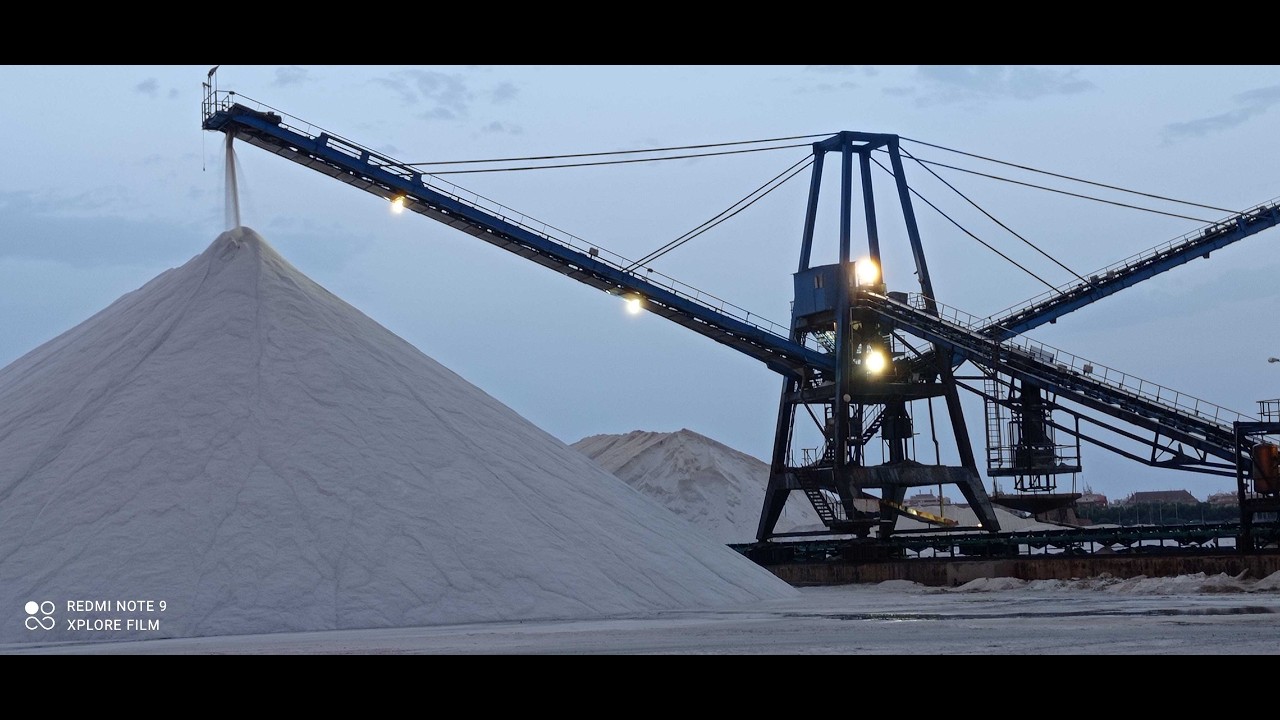 Salt train tour Torrevieja