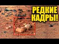 УЧЁНЫЕ БЫЛИ Ш*КИРОВАНЫ ДАННОЙ НАХОДКОЙ! СЛАБЫЙ? - НЕ ВКЛЮЧАЙ! 02.06.2021 ДОКУМЕНТАЛЬНЫЙ ФИЛЬМ HD