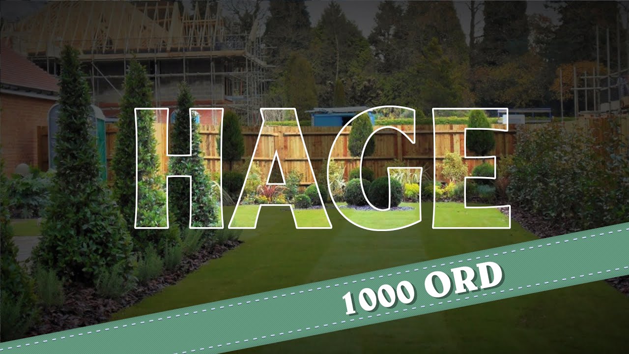 1000 Ord - Hage