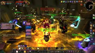 Dungeon Walkthrough Scarlet Monastery Library Protopaladin wotlk classic 2023