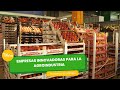 Empresas innovadoras para la agroindustria - Italia - TvAgro por Juan Gonzalo Angel Restrepo