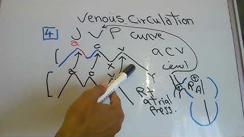 CVS new system (Venous circulation) dr mohamed fayez