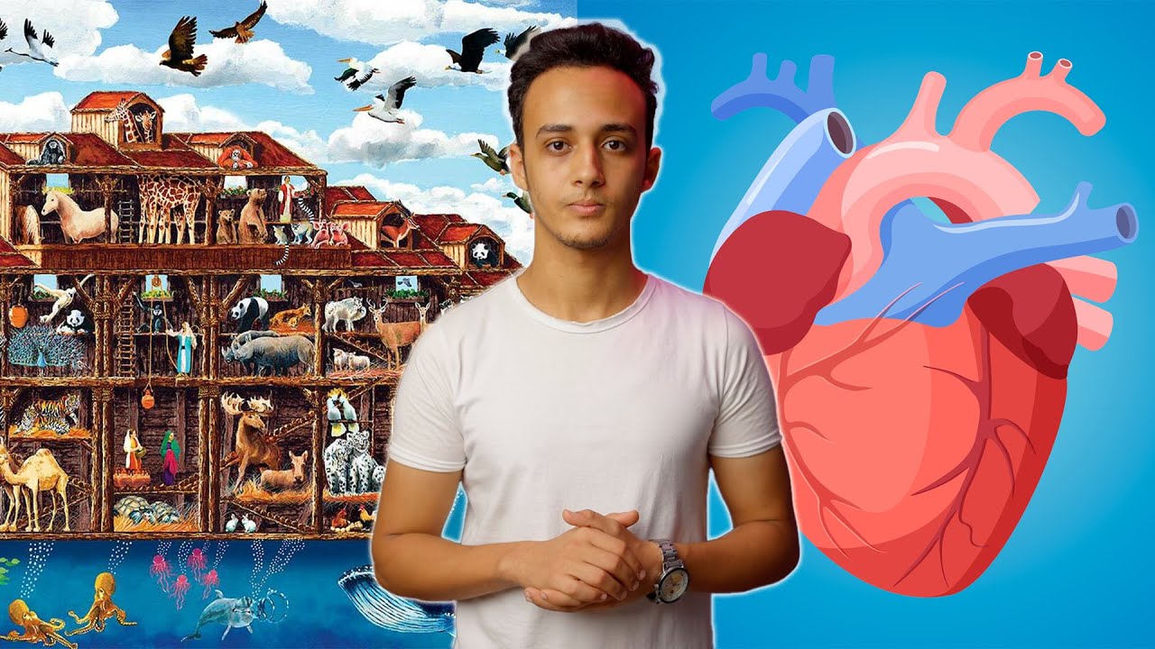 قلوب يعقلون بها صندوق نوح | تحاليل 47 حسام مصطفى