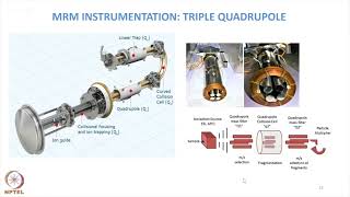 Wk3 : L S-3.2:Targeted proteomics-sample preparation, data acquisition & data analysis using skyline