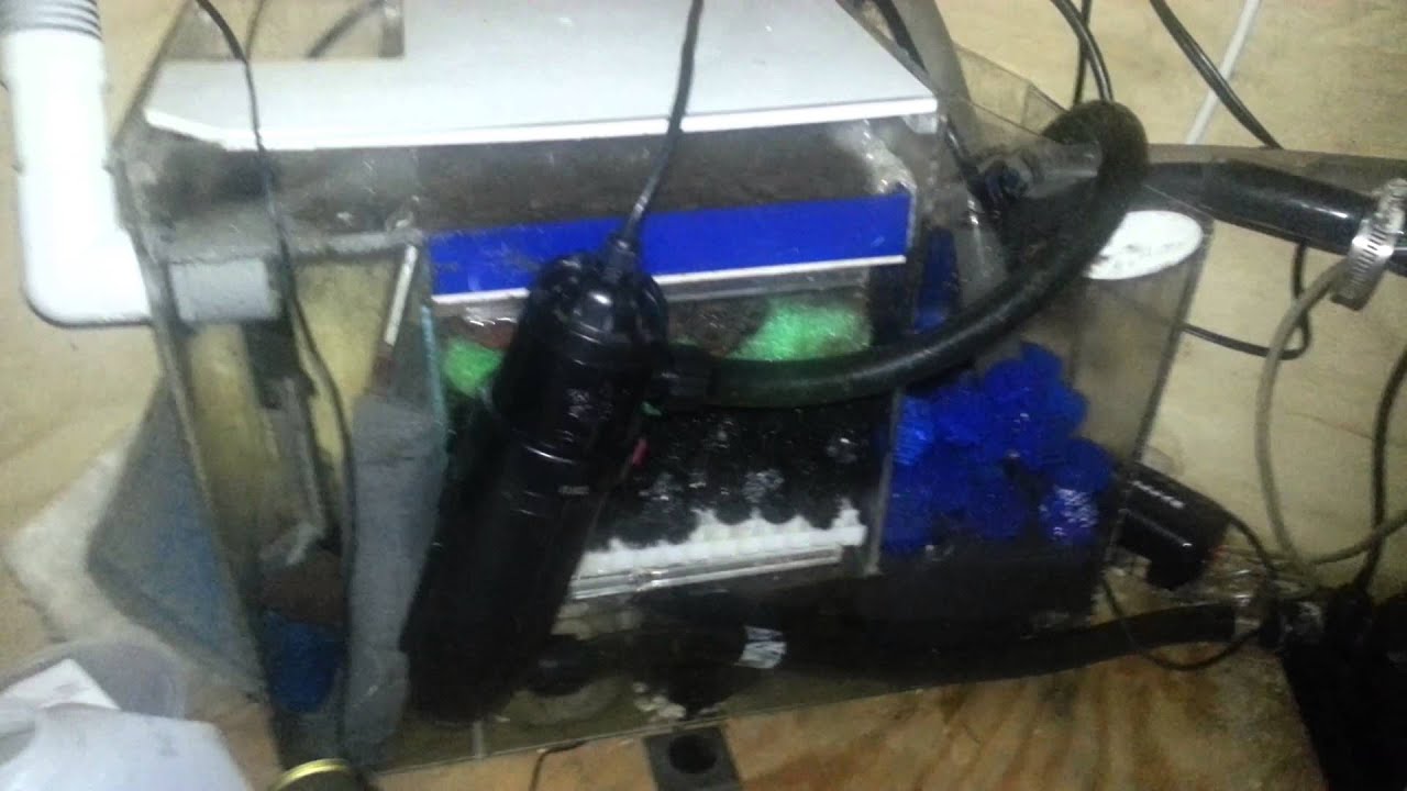 camera iphone 8 plus apk Sump filter