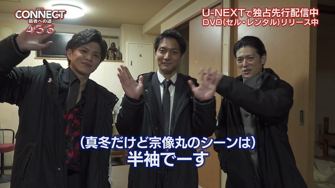 Vシネマ 任侠 DVD 28本 セット Vシネマ 任侠 DVD 28本 セット Vシネマ