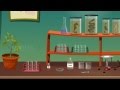 Photosynthesis and Light Experiment Quiz