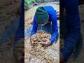 Gold gold we are looking for big gold #goldhunting #goldpanning #goldfind #golddiscovery #gold