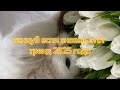 🤍Танцуй если знаешь этот тренд 2025 года🤍 #kamistory #trending #reels #dance #trend