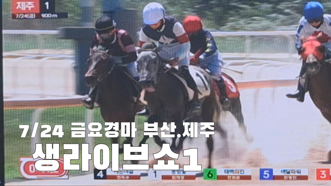 오늘한판이나 마출지 모르겠네!쩝(금요경마 부산.제주 생라이브쇼1)