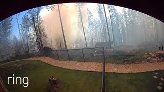 Sarah Was Asleep With Her Phone Off When a Fire Neared Her Home. Watch What Happened Next | RingTV