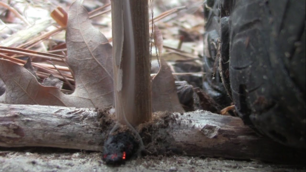 Primitive HAND DRILL Fire with Alex Coker