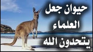 تعرف على الحيوان الذي إذا شرب الماء مات  سبحان الله